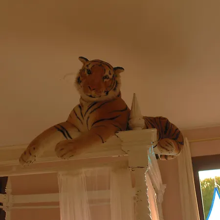 Esmaraldas House Of * تيراسيني