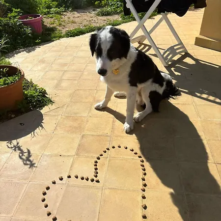 Esmaraldas House Of بيت ضيافة تيراسيني