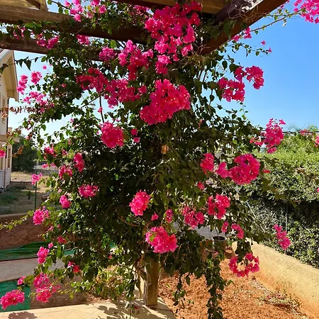 بيت ضيافة Esmaraldas House Of